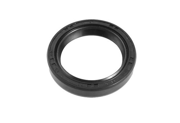 Gufero GP 72x100x13 ČSN 02 9401.0