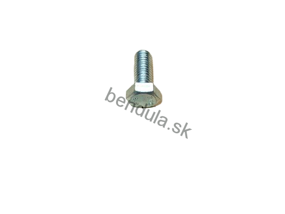 skrutka M 6x12