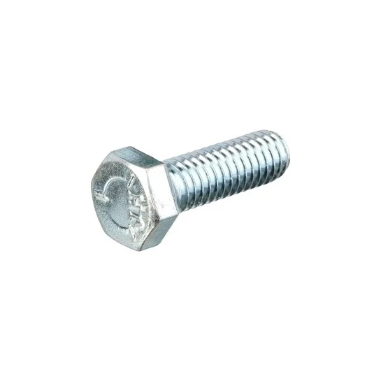 skrutka M 10x25