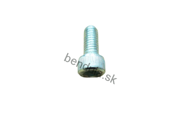 Skrutka M 6 x 16 ČSN 02 1143.55