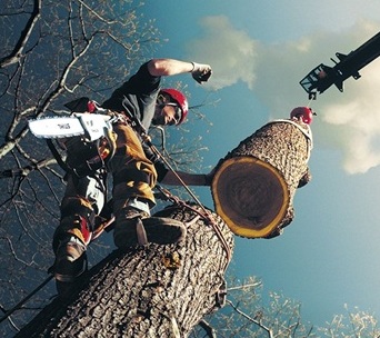 pre píly STIHL na ARBORISTIKU