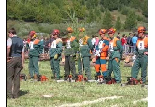 Drevorubačské súťaže